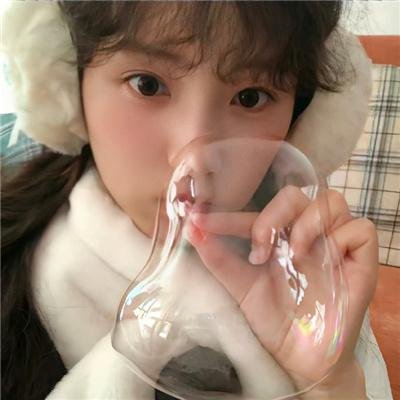 双生赤狐